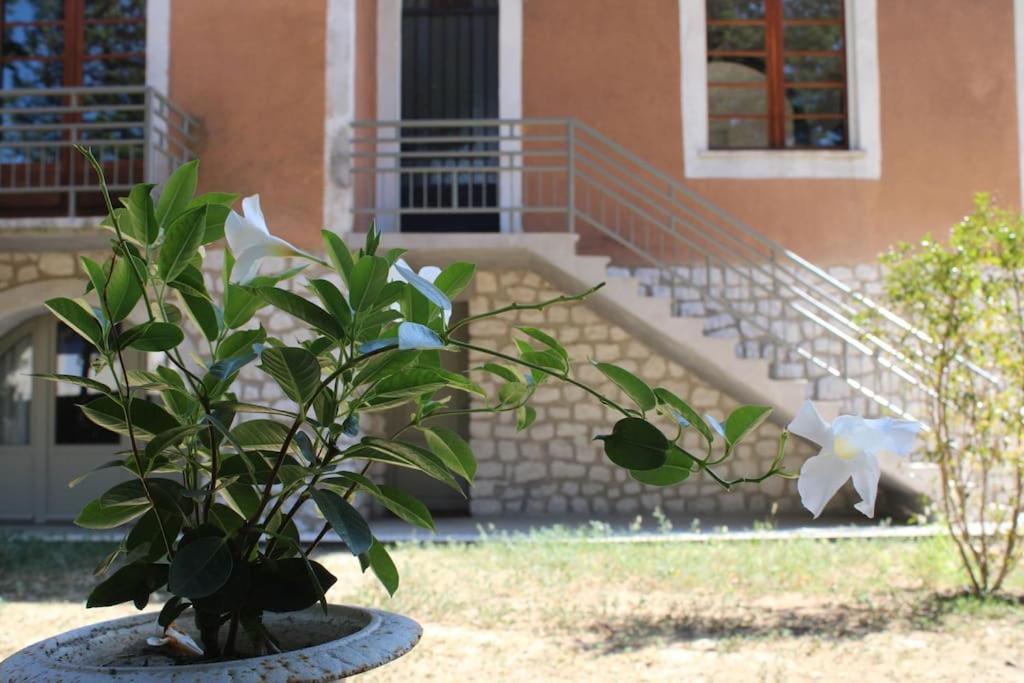 La Provencale * Uzes