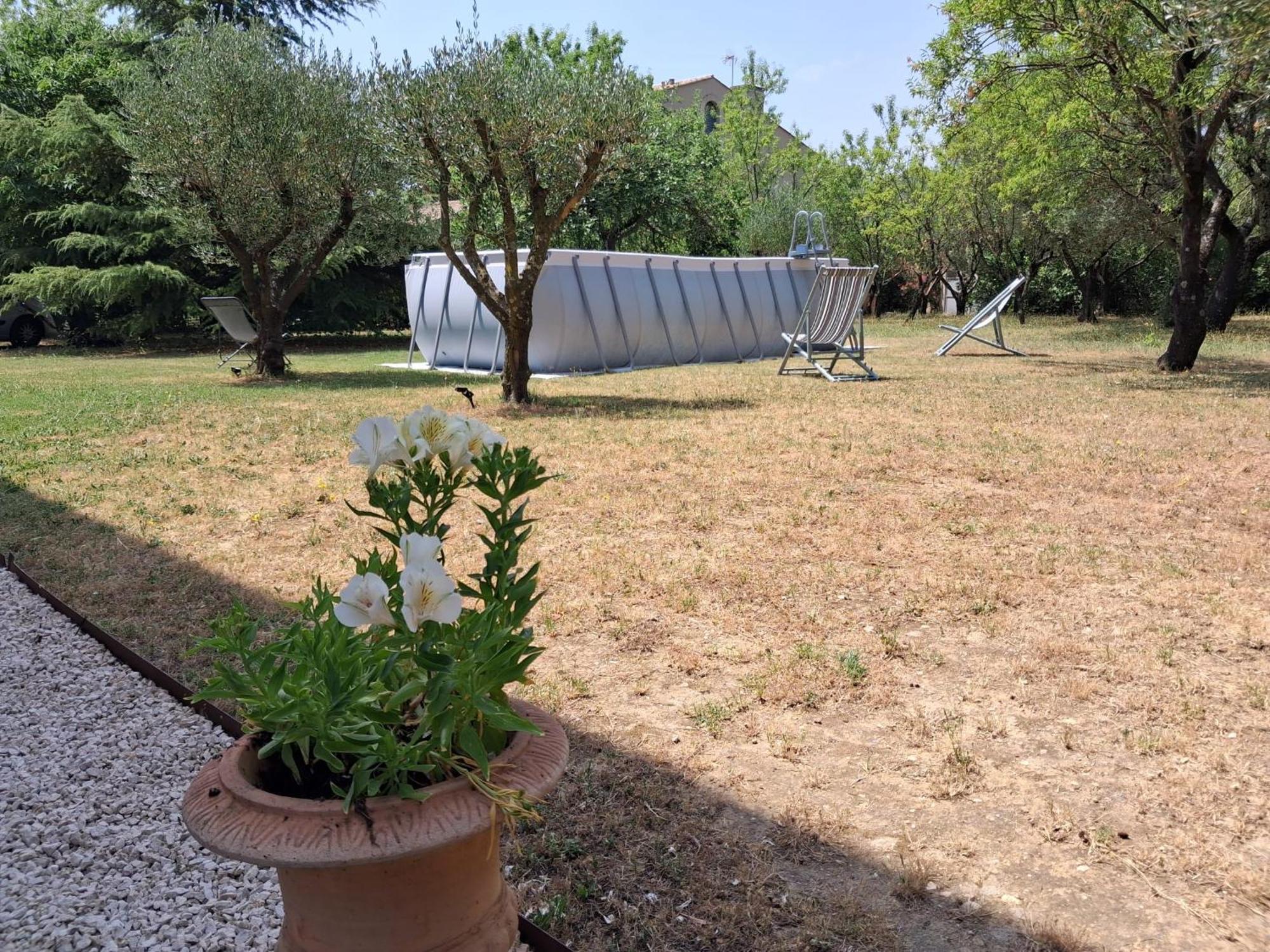 La Provencale *